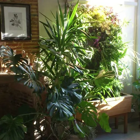 Maison Doat 1823 ベッド・アンド・ブレックファスト