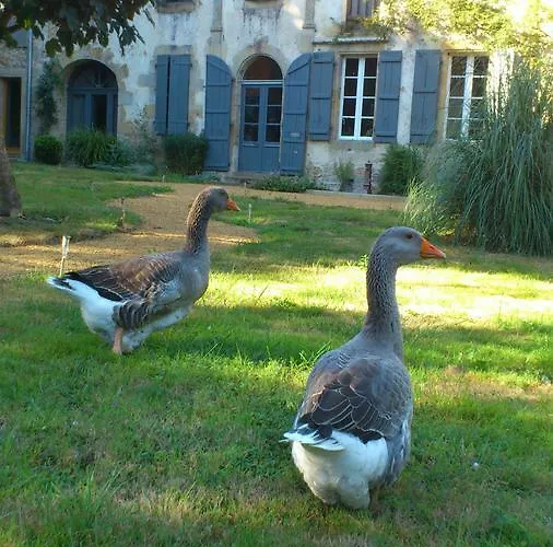 Maison Doat 1823 Nocleg ze śniadaniem 3*