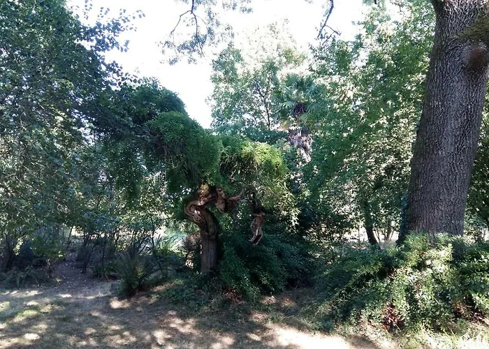 Maison Doat 1823 3* Perchede