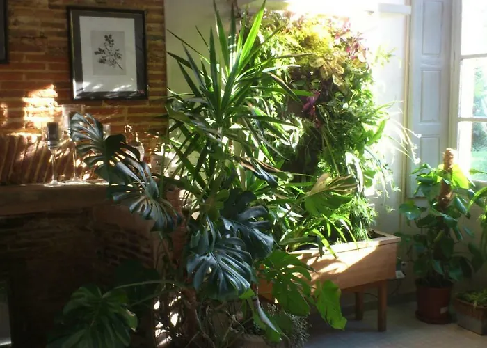 Maison Doat 1823 Nocleg ze śniadaniem