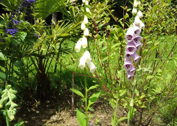 Maison Doat 1823 Nocleg ze śniadaniem 3*