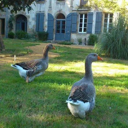 Maison Doat 1823 Bed & Breakfast *