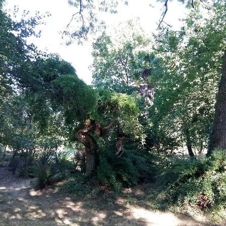 Maison Doat 1823 3* Perchede